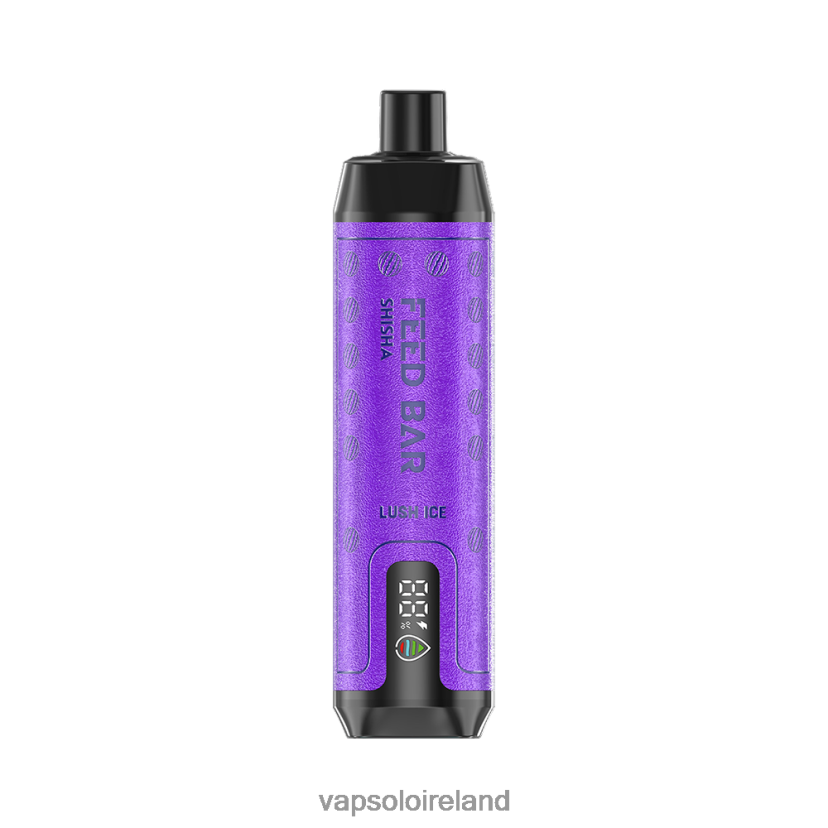 VapSolo Flavours - VapSolo SHISHA Disposable Vape 002BT48 Lush Ice