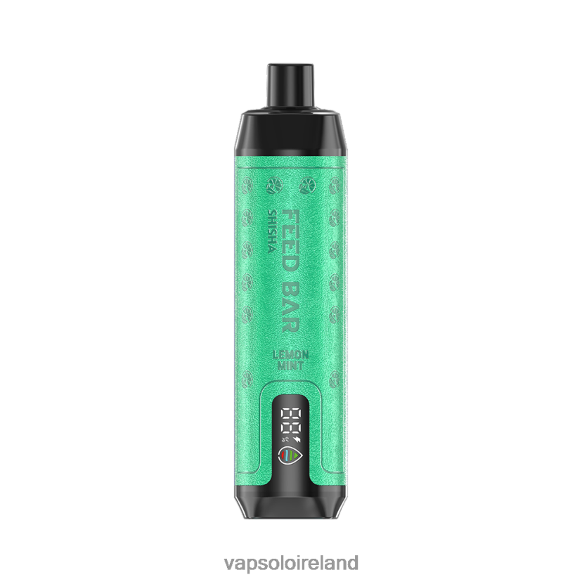 VapSolo Ireland - VapSolo SHISHA Disposable Vape 002BT47 Lemon Mint