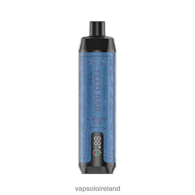 VapSolo Puffs - VapSolo SHISHA Disposable Vape 002BT44 Blueberry Gum