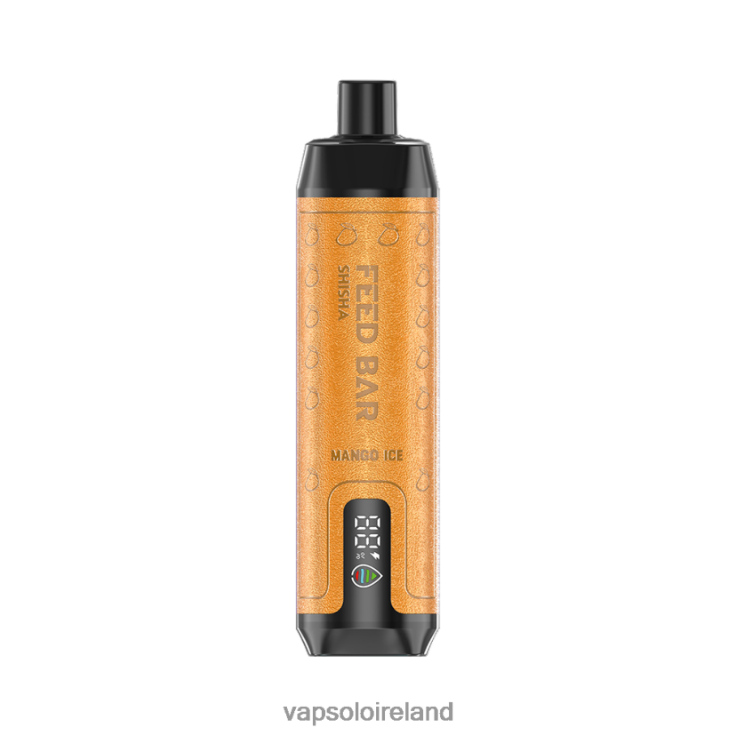 VapSolo Puffs - VapSolo SHISHA Disposable Vape 002BT49 Mango Ice