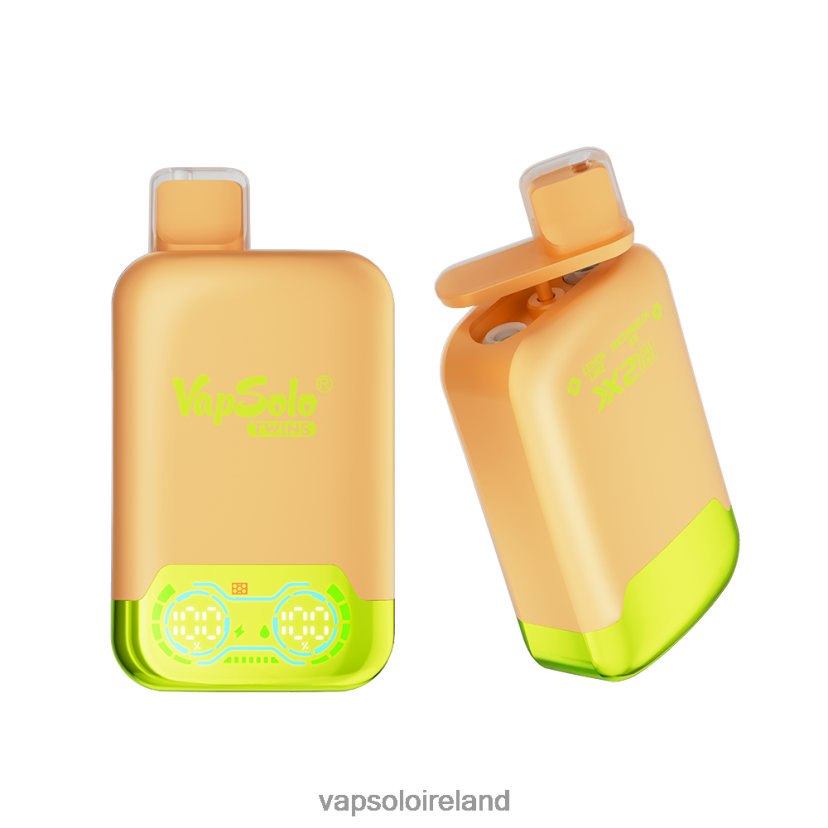 VapSolo Puffs - VapSolo TWINS Disposable Vape 002BT429 Lemone Lime & Watermelon Ice